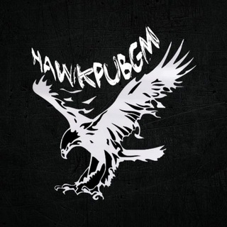 Логотип телеграм канала @hawkpubg — HAWKPUBGM METRO SHOP