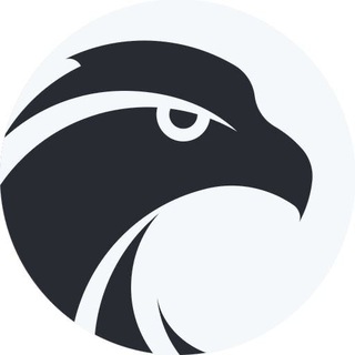 Логотип телеграм канала @hawksquad — Hawk Squad