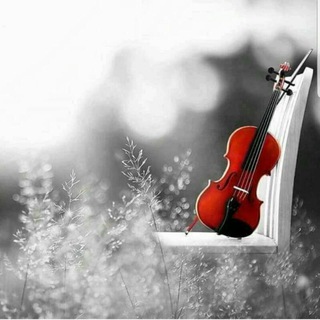 لوگوی کانال تلگرام hayat868k — مشــ♪ـــاعر. قلــ♡ـــب