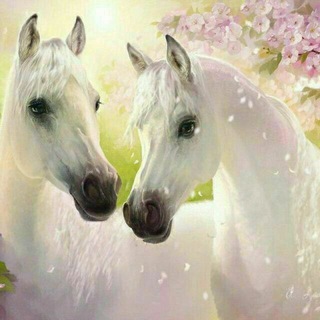 Telegram kanalining logotibi hayotimdan_bir_parcha_02_03 — 🌺Hayotimdan bir parcha🌺