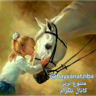 لوگوی کانال تلگرام hayvanatziba — حیوانات زیبا(مخلوقات زیبای پروردگار)