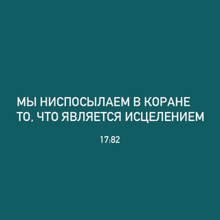 Telegram channel Лекарь Шамиль logo