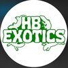 Logo of telegram channel hb_exoticsz — Hb _exotics