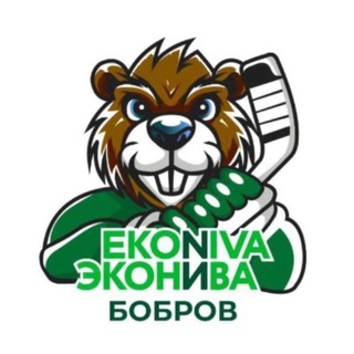 Telegram channel ХК «ЭкоНива-Бобров» logo
