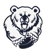 Логотип телеграм канала @hc_academy — ХК «Академия»
