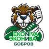 Логотип телеграм канала @hc_ekonivavbobrov — ХК «ЭкоНива-Бобров»