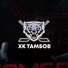 Логотип телеграм канала @hc_tambov_official — Хоккейный Клуб «Тамбов»