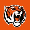 Логотип телеграм канала @hcamurtigers — МХК «Амурские Тигры»