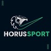 Logo of telegram channel hcgjiggigj — HORUS SPORT 🇪🇬🦅