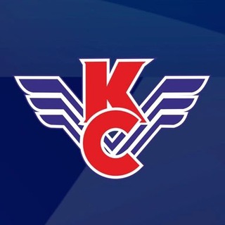 Логотип телеграм канала @hcks_ru — ХК Крылья Советов Москва