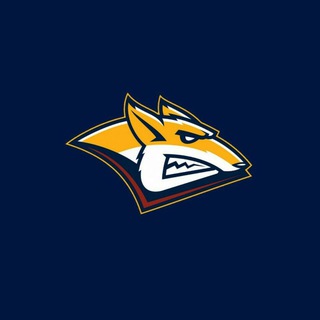 Логотип телеграм канала @hcmetallurgmagnitogorsk — Стальной лис