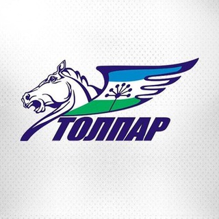 Логотип телеграм канала @hctolpar — МХК «Толпар»