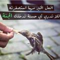 Logo saluran telegram hdauy — للسماء وجهتي...