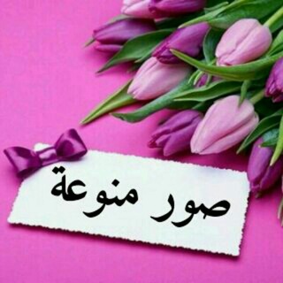 لوگوی کانال تلگرام hdkgcv — 🍃 صور منوعة 🍃