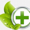 Логотип телеграм канала @health6996 — "Доктор Природа" Нетрадиционная медицина и Альтернативное лечение онкологии и рака.Избранное