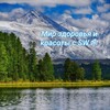 Логотип телеграм канала @health_45 — ❄Мир Здоровья и красоты с ЭКО продуктами