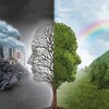 Логотип телеграм канала @healthmoods — Мудрость сердца | Психология