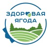 Логотип телеграм канала @healthy_berry — Здоровая ягода