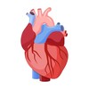 Логотип телеграм канала @heartgkb14 — Школа здоровья «Сердечно-сосудистые заболевания» ГКБ 14
