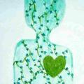 Logo saluran telegram heartgreenlife — قلبٌ أخضر 💚