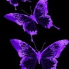 Logo of telegram channel heartles_idn — 𝐇𝐞𝐚𝐫𝐭𝐥𝐞𝐬𝐬🦋