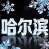 Telegram channel 哈尔滨春香阁 logo