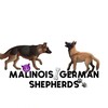 Logo of telegram channel hebgbb — Belgian.German.Shepherds😈🐾