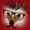 Логотип телеграм канала @hedgehog_tar_tsirkul — Hedgehog_tar