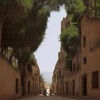 شعار قناة تلجرام hegra21 — هجرة القرن 21
