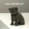 Логотип телеграм канала @heheheblblbl — Мем на каждый день