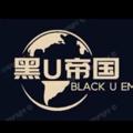 Logo saluran telegram heiudiguo88888888 — 🔥黑U帝国🔥诚信出黑u