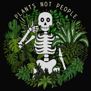 Логотип телеграм канала @helensjungle — 🪴 Helen's Jungle 🪴