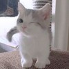 Логотип телеграм канала @hellix_xil — хелликс в метро