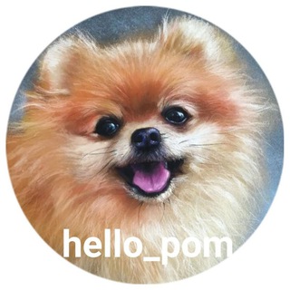 Logo of telegram channel hello_pom — Hello_pom