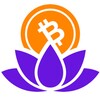 Telegram channel 0xbd - all about BD in Web3 logo