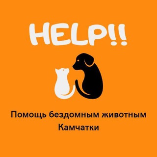 Логотип телеграм канала @help_animal41 — Help4animal