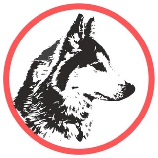 Логотип телеграм канала @help_husky_nsk — Помощь ездовым собакам help_husky_nsk