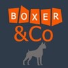 Логотип телеграм канала @helpboxer — Boxer&Co 🤍 Москва