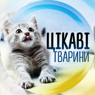 Логотип телеграм -каналу helpdtpkiev — Цікаві тварини ☃️