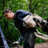 Логотип телеграм канала @helperstraining — Helper’s training