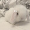 Логотип телеграм канала @helpforthedying — девочка без лица, которую не спасти