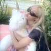 Логотип телеграм канала @helplunamoonhelp — хелп луна || moon help