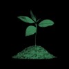 Логотип телеграм канала @hempbio — Рецепты из конопли