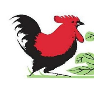 Logo saluran telegram hentongindo — Ayam kampung