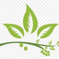 Logo saluran telegram herbaltreatment1 — Травы и сборы:Для семьи