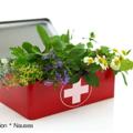 Telegram channel Herbs and Healing logo