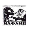 Логотип телеграм канала @herdingnafani — Нафани. Пастьба и Аджилити.