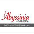 Logo saluran telegram heritageconsult2 — Abyssinia consultancy 2