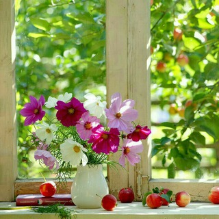لوگوی کانال تلگرام hesearaamesh — 💖 حس آرامش💖