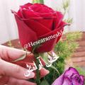 لوگوی کانال تلگرام hesearameshh — 🌟حس آرامش 🌟